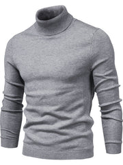 Rollkragenpullover Herren Klassisch – Grau